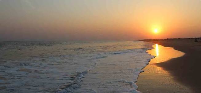Best Beaches to Visit in Puri